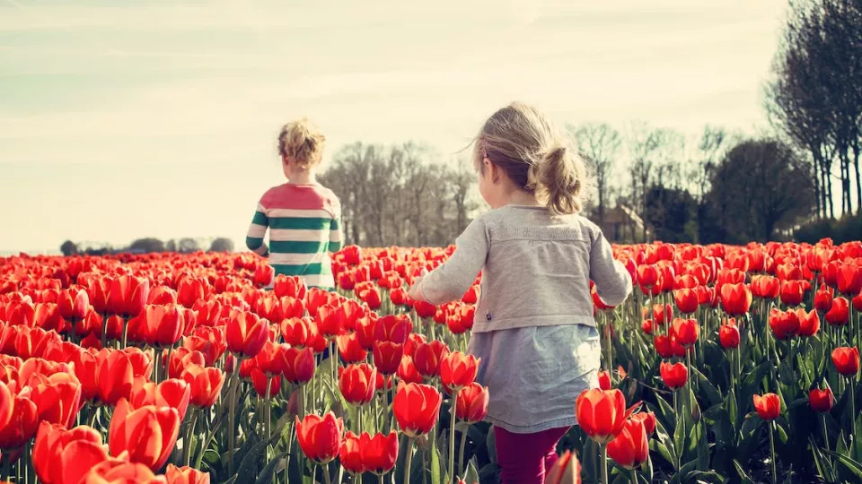 Två barn ute på ett fält med tulpaner. Foto.