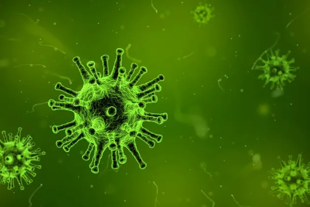 Virus, mikrobiom. Illustationsbild från Pixabay.