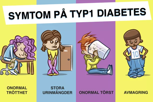 Symtom Autoimmun diabetes. Onormal trötthet. Stora urinmängder. Onormal törst. Avmagring. Tecknad bild.