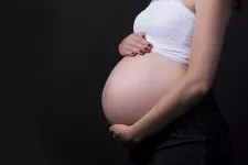 Gravid kvinna. Foto.