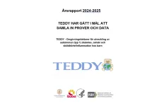 Bild på första sidan på årsrapporten. TEDDY med stora bokstäver.