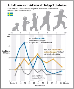 Diagram över antal barn i Sverige som riskerar att få typ 1 diabetes. Vanligaste autoantikroppen före 18 månaders ålder var IAA. Vanligaste vid 36 månaders ålder var GAD65A. Diagram.